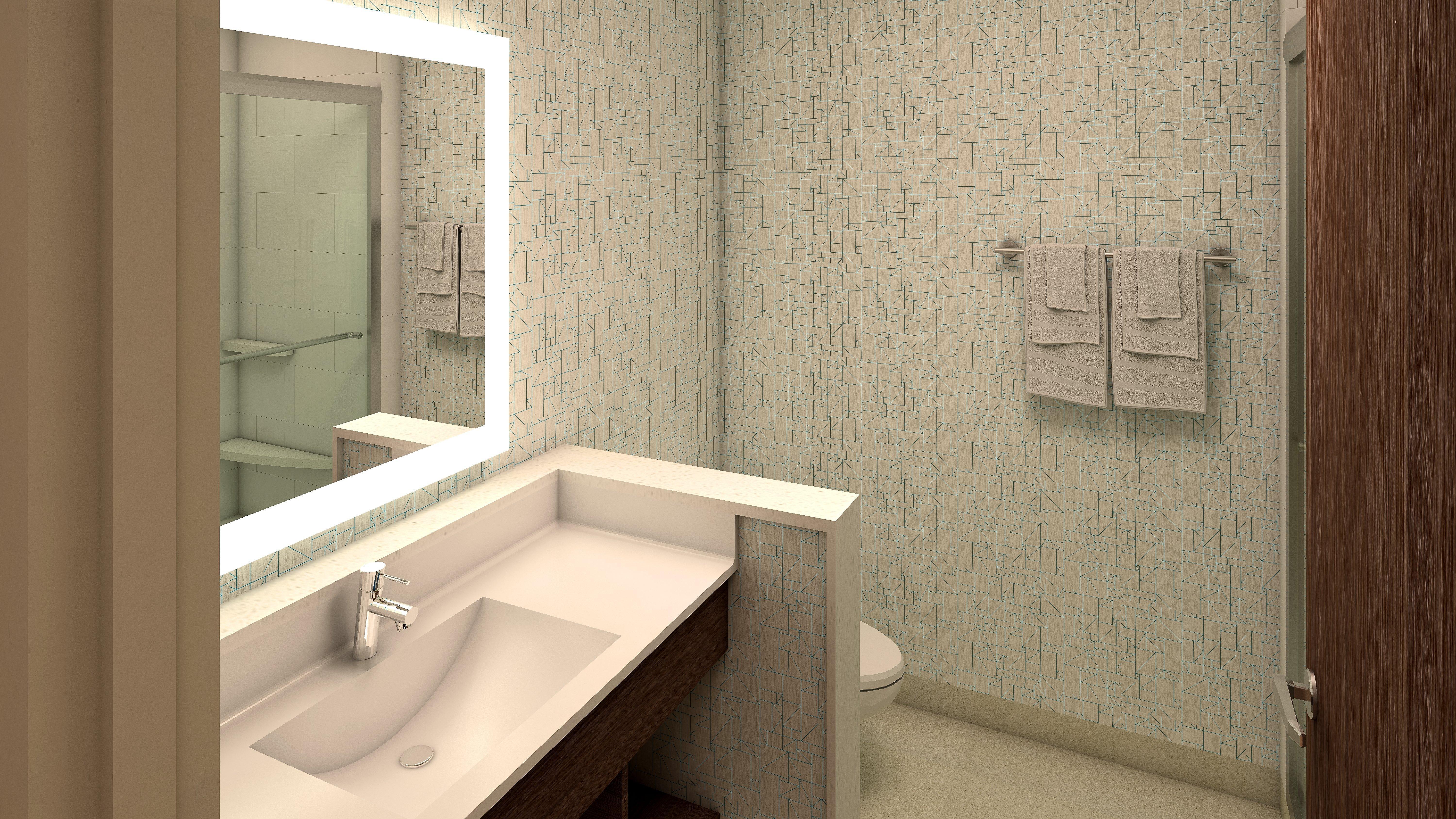 Hotel Holiday Inn Express & Suites - Van Horn By Ihg 3*
